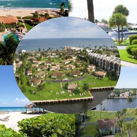 Royal Flamingo Villas Hillsboro Beach Exterior photo